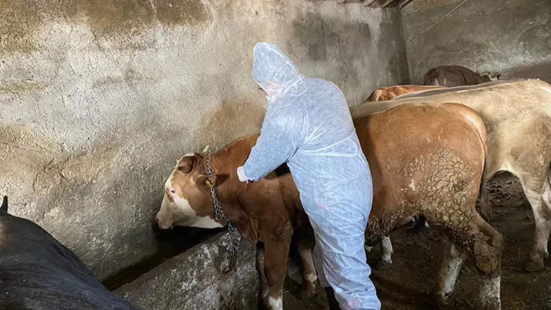 9 köy ve 1 belde karantinaya alındı!