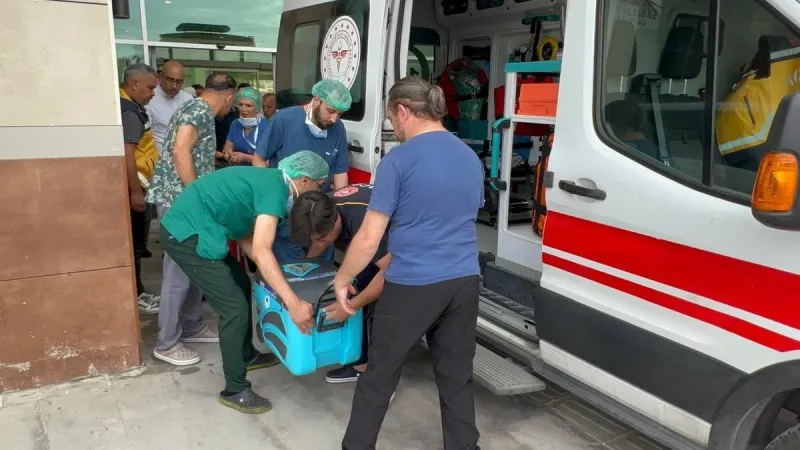 Ahmet’in organları 5 hastaya umut oldu