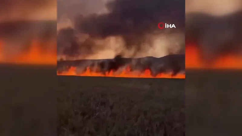 Diyarbakır’da buğday tarlasında anız yangını
