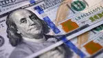 Dolar yatırımcıları üzülecek: Tahmin açıklandı!