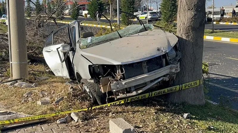 Ehliyetsiz Sürücü Faciası! Ağaca Çarptı: 2 Ölü, Şok Detaylar!