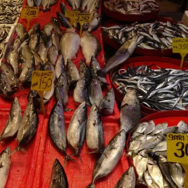 Karadeniz'de "balık" alarmı!