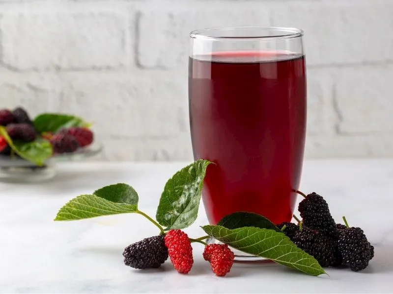 Karadut Şerbeti Tarifi: Yazın Serinleten Lezzeti!