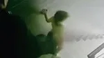 Baba Vahşeti! Kızını Tekmeleyip Merdivenden Yuvarladı!