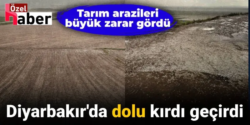 Diyarbakır'da Felaket! Dolu Yağışı Tarlaları Yok Etti!