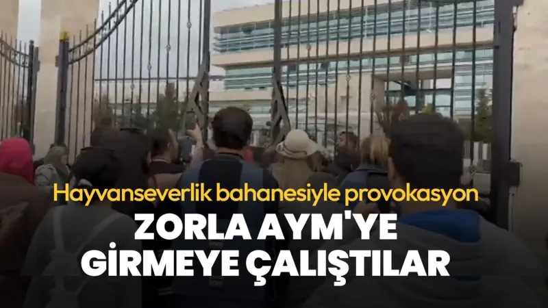Hayvanseverlik Provokasyonu: AYM Önünde Arbede!