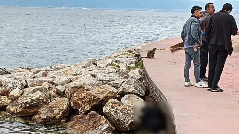 Kocaeli'de Sahilde Şok! Kayalıklarda Kimliği Belirsiz Erkek Cesedi!