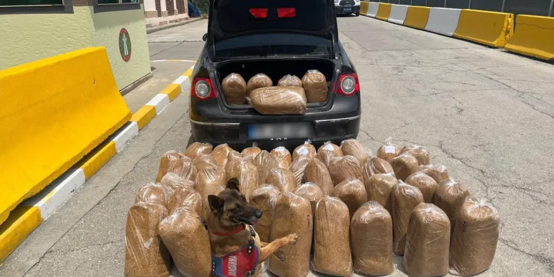 Mersin'de Kaçak Tütün Baskını! Dudak Uçuklatan Rakam