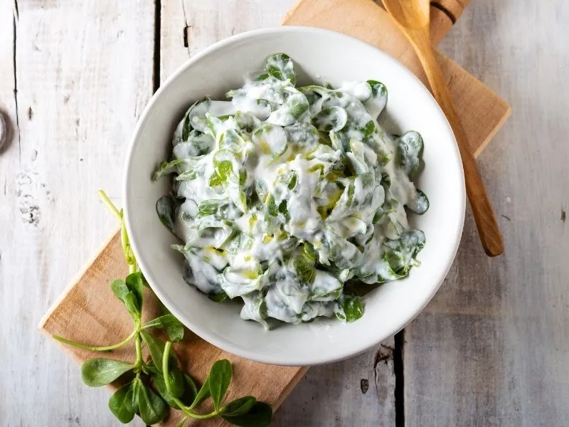 Tavuklu Semizotu Salatası
