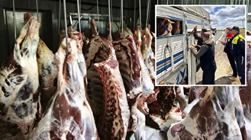 Tekirdağ'da kaçak hayvan sevkiyatına 105 bin TL ceza