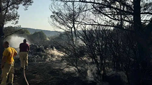 Mangal Yaktı, Ormanı Yaktı! İzmir'de Şoke Eden Tutuklama